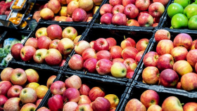 Рекордный урожай не остановил рост цен на яблоки в России
